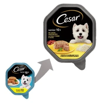 Cesar Senior 10+ 14x150g 4 Cesar Senior 10+ 14x150g – Bild 2