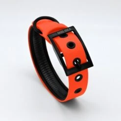 THE DOG IDEA Biothane Halsband Orange Neon Orange M 10 THE DOG IDEA Biothane Halsband Orange Neon Orange M -Tierbedarf Geschäft 01a9a3da6a1cfd60572716e4f5b2942e18f98a80 1481072 de DE b30fbbbe19050e731d3d231c3b071392c6ab650bAgpq70