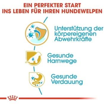 ROYAL CANIN Dalmatian Puppy 12kg 9 ROYAL CANIN Dalmatian Puppy 12kg – Bild 7