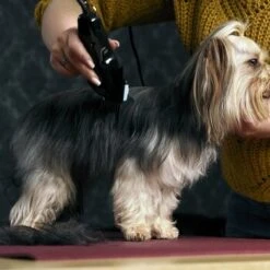 Moser Schermaschine Typ 1400 -Tierbedarf Geschäft 02df9a45ad10057f7cdfbb122412b44ddb24fd91 7c7f90f149fd71377858189c53a8f5cca4170f60