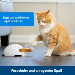 PetSafe Automatisches Katzenspielzeug Fox Den -Tierbedarf Geschäft 038232be25f9015ce160251d628e0af5cabbc69f 1351524 de DE dbeb3a30744bbc866a12a3ecd4f619007abf0a14xn8Dpf
