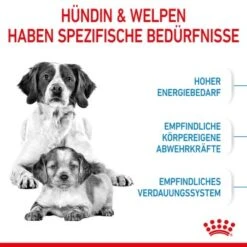 ROYAL CANIN Medium Starter 15 Kg -Tierbedarf Geschäft 03a28cbfa060fbe0cdfb173eaf6e1963dd73e6d3 c4664a5aa615f87e883339daf8410e0a16da2316