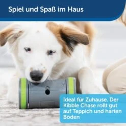 PetSafe Selbstbewegendes Belohnungsspielzeug Kibble Chase -Tierbedarf Geschäft 04ee16df08a1d0058720c3c24edae0b380a4f40b 1418726 de DE 98f77b1c14ebd5f386fc2520d6b8f5d2f621874avKV76L