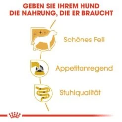 ROYAL CANIN Yorkshire Terrier Adult Mousse 12x85g -Tierbedarf Geschäft 054ec85744f29bb9af1fb84fb28e4adbe5099539 1239182 de DE rc 2