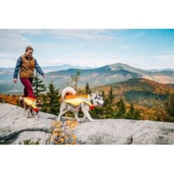 Ruffwear Lumenglow™ High-Vis Hundejacke Orange XL -Tierbedarf Geschäft 055f8ec457e40b7d33e9c275c20ea79bae1e006a 1378153 de DE e8b1f6094bc39d07bc90bd4fe7fc0806cf22bedaBId7iB