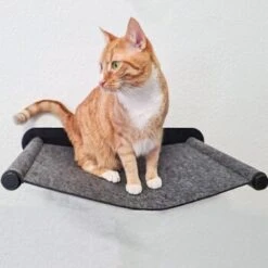 Canadian Cat Company Filz-Hängematte Für Die Wand -Tierbedarf Geschäft 05bff4a9f82ca17aac31ad0d578a843a03e969a6 1360996 de DE 2f7dba7fff7fd30e8ac28d61faf3072ba982a2de23tQBO