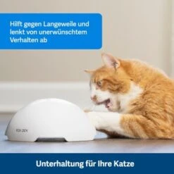PetSafe Automatisches Katzenspielzeug Fox Den -Tierbedarf Geschäft 08408a2d9006c3b10c605053b082403622980ada 1351524 de DE 8502feb5da21e0ab937dc8c82ecaeac4aebee886lllVcE