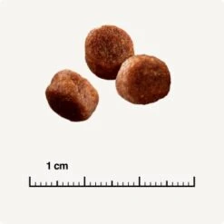 SELECT GOLD Digestion Senior Geflügel Und Reis 2,5kg -Tierbedarf Geschäft 0999645de19e34aac9b2c14ea642717fe4bc62d2 1001086008 de DE 6