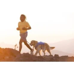 Ruffwear Trail Runner™ Weste Blau XS 20 Ruffwear Trail Runner™ Weste Blau XS -Tierbedarf Geschäft 0b5b007ea11304fa0e12a2aa87d6cc6d6e6417b8 1639640 de DE dd2f81006cc91bb9a3794f38bc8a64c6efb41dd51MouDb