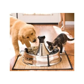 PetSafe Drinkwell Edelstahl Trinkbrunnen 3,8L 4 PetSafe Drinkwell Edelstahl Trinkbrunnen 3,8L – Bild 2