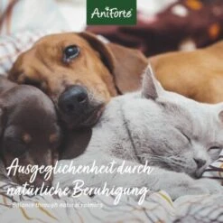 Aniforte Bachblüten Wohlfühl -Tierbedarf Geschäft 0cd967852dfdee41ec01be7a685b667875afe26e 1480464 de DE 560f89e516cd19f6fa4c035a9f065c2ddb1ab7432PWc6B