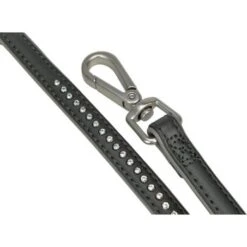 Ausgewählte Produkte -Tierbedarf Geschäft 0e4d429d6b4ea414d846414cdcf8df3e4e16e8cb 6aceb50234562dd2d2ccf3235be56a1e28ff6abe