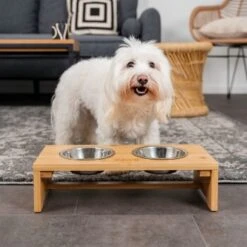 Lionto Erhöhte Futterstation Aus Bambus Braun/ Silber S 9 Lionto Erhöhte Futterstation Aus Bambus Braun/ Silber S -Tierbedarf Geschäft 0ebd27e1d6daa177bb19a1676d8c3a58713dced2 1665921 de DE a28a1d03e7e6c4458670385e414dba037e0197d3muo8Wo