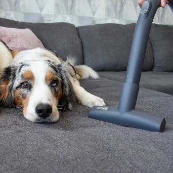 THOMAS Tierhaar Polsterdüse 4 THOMAS Tierhaar Polsterdüse – Bild 2