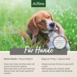 Aniforte Zecken Schild (bis 10kg) Für Kleine Hunde 60 Kapseln 13 Aniforte Zecken Schild (bis 10kg) Für Kleine Hunde 60 Kapseln -Tierbedarf Geschäft 14f92616b6322b4e62e01d29fcccaf885e976307 1332831 de DE 6bc9b6e0f4008a56f840e783386b682a64027c34fBMT6s