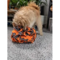 TrendPet Schnüffelball Orange -Tierbedarf Geschäft 150c7485ceb45f446eae94d286af034396b6b839 1347789 de DE 0d959a3cb36067968769c2d102a66fcc1f59a724hVebVb