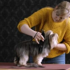 Moser Schermaschine Typ 1400 -Tierbedarf Geschäft 1559dc1580d12f0825069dc0425234fe0b455a1c 1f8a3eb831d5c4fcc001113b4dafee6e3054f4c4