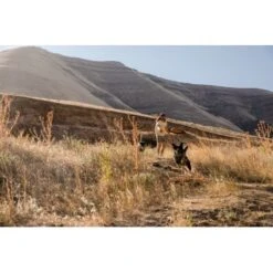 Ruffwear Hover Craft™ Spielzeug Orange -Tierbedarf Geschäft 15670c7f824cb67257971dca32974b68eba14a2f 1364297 de DE f53c4ca5615bcabb9ccbd712339b8f568f29402frPrk2m