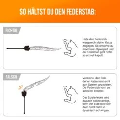 Schlitzohr Federwedel Birdy 3er Pack 15 Schlitzohr Federwedel Birdy 3er Pack -Tierbedarf Geschäft 16072e01b419f04186b3ef116d6cd36b37e5e14d 1659562 de DE 14a63acfadc12c43ff7fa0cac6e3fa04d776aa75sEyDpP