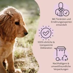 FAVLY Petfood Premium Naturkauartikel Rinderkopfhaut 750 G 7 FAVLY Petfood Premium Naturkauartikel Rinderkopfhaut 750 G -Tierbedarf Geschäft 16b068451ff3df67cd4c996bc25d91fc297148e7 1473999 de DE a2c9f8d86d80fc90ca8f9c923a08051ec130ef8dA94Ri3