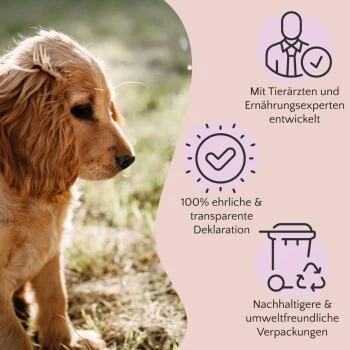 FAVLY Petfood Premium Naturkauartikel Rinderkopfhaut 750 G 5 FAVLY Petfood Premium Naturkauartikel Rinderkopfhaut 750 G – Bild 3