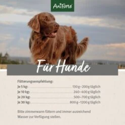 Aniforte Mix 2,4 Kg -Tierbedarf Geschäft 16e4bb932d1ef4ed50f9eb03ca940b8eec918f8c 1422197 de DE ecf8c646fa9f7a73ce2de360e52f7434941d6424HadsI3