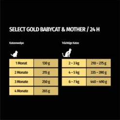 SELECT GOLD Babycat & Mother Pastete Huhn 12x85 G 9 SELECT GOLD Babycat & Mother Pastete Huhn 12x85 G -Tierbedarf Geschäft 16f6e0f0a8dec64092bb76bac74e7a426373a332 1367186 de DE 7