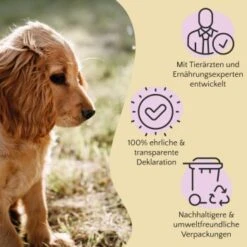 FAVLY Petfood Premium Naturkauartikel Kaninchenohren Mit Fell 360 G -Tierbedarf Geschäft 1723031773900f8974b6582f7b858aabe5129f6d 1473998 de DE 803a18d1981b28cac6cbf941640c9f1c7007ec8b2gtdU1