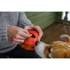 Ruffwear Gnawt-a-Rock™ Spielzeug Blau -Tierbedarf Geschäft 18a32f6fd206d1a1fd4df8bb6663cd33f769d9d5 1639879 de DE b243dd683d9144eaac7a8d1e460c634ef96ee8c8AtipD6