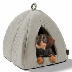 MORE Höhle Diamond -Tierbedarf Geschäft 1901edb64570eb8cb38c0e72458280ff138dcb40 856e9f8ef094dc77c4e2ce9e6d85768bffa721c6