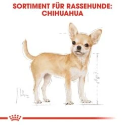 ROYAL CANIN Chihuahua Adult 12x85g -Tierbedarf Geschäft 197d45cb7575160e4d31cd104a5e5841d9299ef7 f715e0902cfbc2b880c867fd6b8875c02d62af99