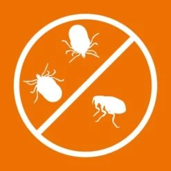 Ardap Zecken- & Floh-Halsband Für Hunde M -Tierbedarf Geschäft 1bc61f7f2a6b5fad74935e26e6e291a622b94e71 1221081 de DE 216402434a597a152b5e3e2d02d3c041c3a61282i3TU7T