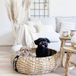 District 70 COCOON Natural M -Tierbedarf Geschäft 1db584284c497361442002ba80ca8dd9597a35b9 1ad367312153dfaf420d5600b6e8e9dac5cec798