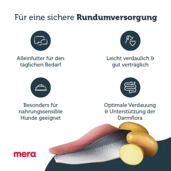 MERA Pure Sensitive Fresh Meat Hering & Kartoffel 12,5 Kg 6 MERA Pure Sensitive Fresh Meat Hering & Kartoffel 12,5 Kg – Bild 4