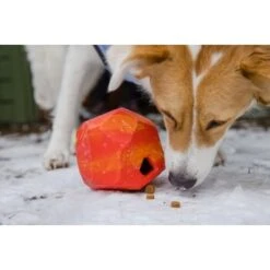 Ruffwear Gnawt-a-Rock™ Spielzeug Blau -Tierbedarf Geschäft 1df4ce0c3e2b13b9dde849014a9b4637ff5fbf94 1639879 de DE 625c8d7bd239fd4e64b055b3b2574c1b5400a391xF45nb