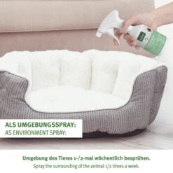 Aniforte Zeckenspray Für Hunde 100ml -Tierbedarf Geschäft 1f85d440ca1eeee643e4f393ee7d5ae590b94bfc 1501153 de DE a91102feca03452136bdb7a3a5e555023f3cd93dLCLj1o