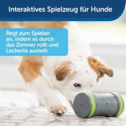 PetSafe Selbstbewegendes Belohnungsspielzeug Kibble Chase -Tierbedarf Geschäft 232030f86f814de36b46e922b9019b2a80aa0a4a 1418726 de DE cabfebb8ef64f9f8a7009d6c5080cb046558ff00b0jRo2