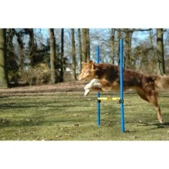 Dobar 3-teiliges Agility Sprung-Set,, Inkl. Tragetasche -Tierbedarf Geschäft 23438a1c89953580debb447a4f2a6705cf109122 9daba483a29d35b05cf9df2cf0269c15e7db3ed2