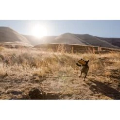 Ruffwear Hover Craft™ Spielzeug Orange -Tierbedarf Geschäft 23f3ce0fb188e4f5a253007adc90481d6747961b 1364297 de DE e44fe3627eb338195cfdd7c589598a8edb05def2xpzXS1