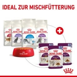 ROYAL CANIN SENSORY Smell In Gelee Für Wählerische Katzen 12x85g 12 ROYAL CANIN SENSORY Smell In Gelee Für Wählerische Katzen 12x85g -Tierbedarf Geschäft 25c7f2b0017090b05172a164b94d24299f626039 5b9b3776479c43ed4449b8634046c65b7d96c1fe