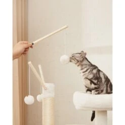 FEANDREA Kratzbaum Mit Katzentoilette Braun Braun -Tierbedarf Geschäft 2805ebee82844de24549efcbc8758784921725d9 1483588 de DE 8a6f49c232ac34ce06828071a46f9dbb48da4935q3mPWt
