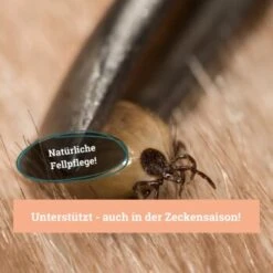 BeG Buddy Fellspray Zecke -Tierbedarf Geschäft 297119792bee87c54c4080010b8d6149223d300c 1457254 de DE b0426d8711049b0aafb9b17aaa93a89672536d279Kmo8x