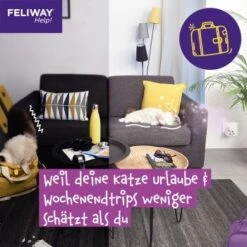 Feliway Help! 3x Nachfüllkartusche Zur Stressreduzierung 21 Feliway Help! 3x Nachfüllkartusche Zur Stressreduzierung -Tierbedarf Geschäft 29ae770ba9b7f1bf9cec9031f7a2f9aa2f9f9bf4 1380137 6
