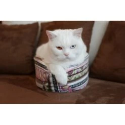 Canadian Cat Company Katzenschiff LUNA -Tierbedarf Geschäft 2a794931f9263820d298c92486fc08c7b5fe3a35 1412669 de DE 46780a4b5da8fe052e5be00462eb02991658c41f2ZgeMs