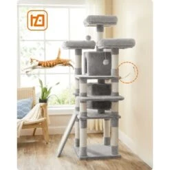 FEANDREA Katzenbaum 172cm Hellgrau Hellgrau -Tierbedarf Geschäft 2beb608b0c25f31a5b591bd7b697fde4b8299f66 1483575 de DE 0ad423e802c0fbbefde959609f78ace2ca898ed9EZB5uL