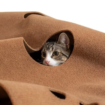 Canadian Cat Company Spielteppich Für Katzen Braun 4 Canadian Cat Company Spielteppich Für Katzen Braun – Bild 2