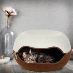 Canadian Cat Company Filz Katzennest 2.0 Weiß -Tierbedarf Geschäft 2d709df44822ed1c554e77257ea4f2826b7f6ee6 1412670 de DE f4bc2f42c404e1ae32cb86346c8e995f0178b889j3OAow