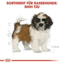 ROYAL CANIN Shih Tzu Puppy 1,5kg 14 ROYAL CANIN Shih Tzu Puppy 1,5kg -Tierbedarf Geschäft 2dd674b0c9faf144189925427954057c94e96824 cfea993775d63322f217c5a694273fde764bdafe