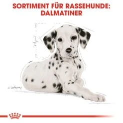 ROYAL CANIN Dalmatian Puppy 12kg 16 ROYAL CANIN Dalmatian Puppy 12kg -Tierbedarf Geschäft 3036b86ea4ce88871062b93c88ca9a8de810c8ed 68024b37a164808455acf8365f33d66401b0231f