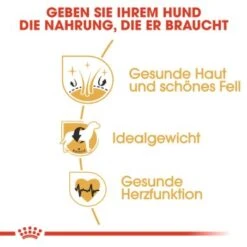 ROYAL CANIN Cocker Adult 12 Kg -Tierbedarf Geschäft 3134822eaac43dc61f1f6efc8f5aab330e7b06ad 6f556a24463fe429dab74ecc4fdcc054850746a6